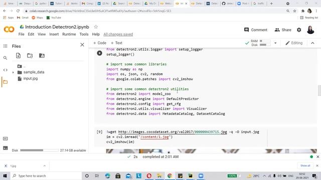 Mask RCNN Example | Detectron2 | Google Colab смотреть онлайн