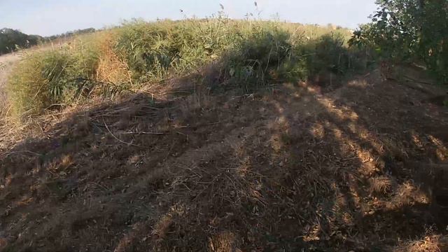 Охота на Вяхиря (новый способ) часть вторая. смотреть онлайн