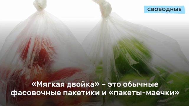 Что можно сдать на переработку в Саратове? Инструкция смотреть онлайн
