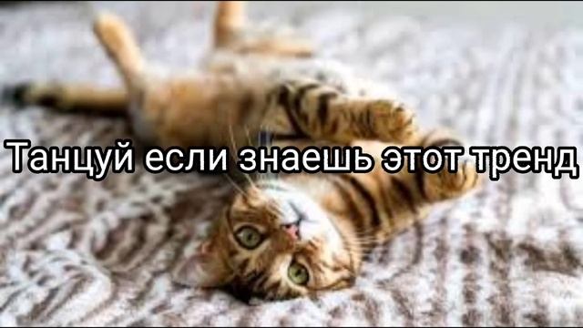 16 октября 2023 г. смотреть онлайн