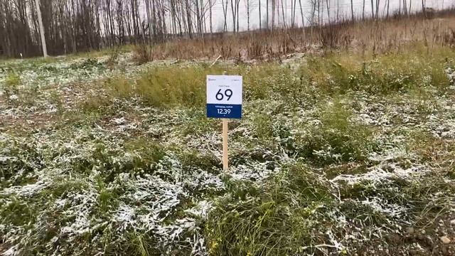 IMG 1847 смотреть онлайн