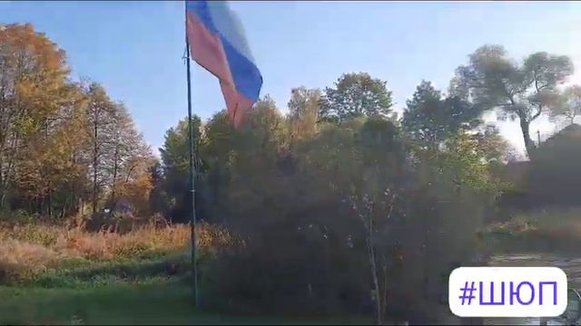 Утро в Стране Пенсионерия! смотреть онлайн