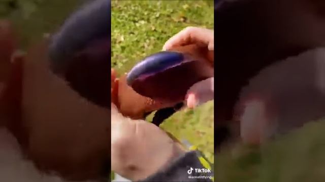Угарное Видео Tik Tok смотреть онлайн