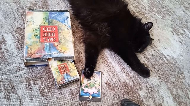 Расклад "парадокс", Таро Дзен ОШО, карта для канала.15.12.2022. смотреть онлайн
