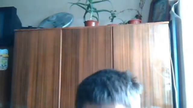 чао-какао смотреть онлайн