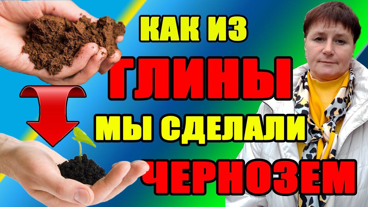 Как из ГЛИНЫ мы сделали ЧЕРНОЗЕМ. Почему у нас ВСЕГДА богатый урожай. смотреть онлайн