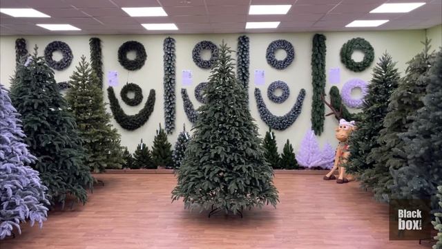 Black Box - Обзор искусственной ели Триумфальная 100% литая, зеленая