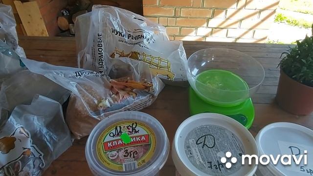 Кормление бройлеров.Как сделать зерносмесь для бройлеров для хорошего роста. В корм добавляю белок. смотреть онлайн