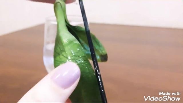 #Орхидея без корней. #Реанимация_орхидеи без корней. Сгнили корни, что делать. #Орхидеи смотреть онлайн