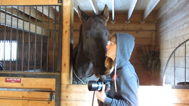 Behind the Scenes- Orange Horse Studio смотреть онлайн