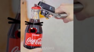 Мир намного круче с дудлами – Дудлэнд