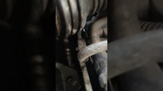 Автоспешники