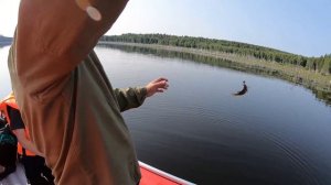 Ловим рыбу, наслаждаемся отдыхом!!! Долгобродское водохранилище!!!