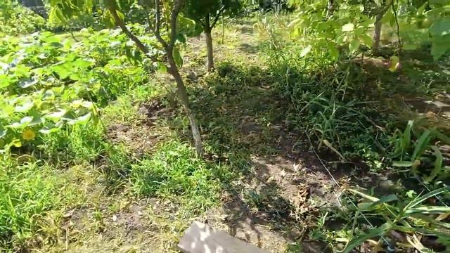 Сама напугалась😪😎 Улучшаем бассейн - Скиммер🏊_♀️ Отдыхать нужно обязательно😊 Так и живем😏 смотреть онлайн