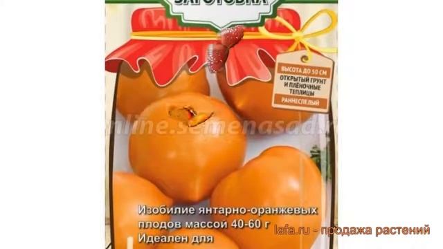 Томат обыкновенный Янтарная Россыпь ? обзор: как сажать, семена томата Янтарная Россыпь смотреть онлайн