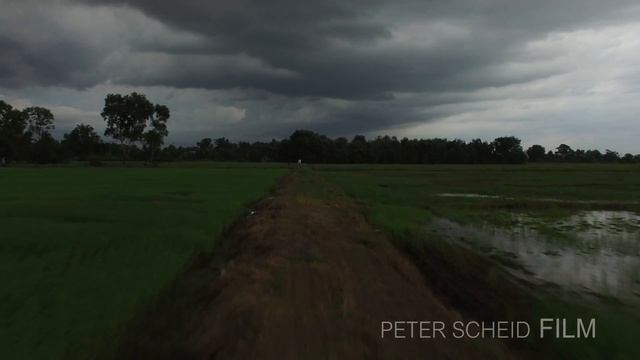 Rice Fields Vietnam - Cameraman, Videographer, Drone Pilot Peter Scheid, Ho Chi Minh City, Vietnam смотреть онлайн