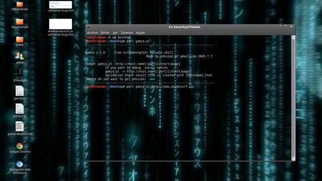 Gamja : Web Vulnerability Scanner XSS and SQL смотреть онлайн