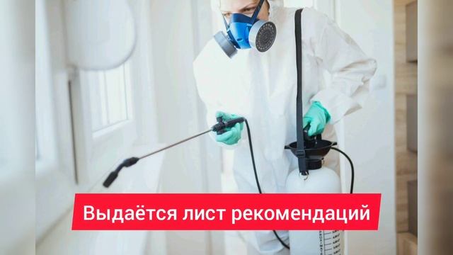 Оказываем услуги дезинфекции, демеркуризации и дератизации в родном городе Верея. смотреть онлайн
