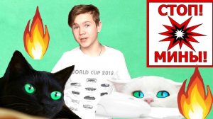 КОШКИ ПРОХОДЯТ  МИННОЕ ПОЛЕ!!! Нееееет!!!! ЧЕЛЛЕНДЖ.