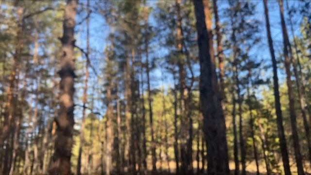 Куда-то все делись? ?️ смотреть онлайн