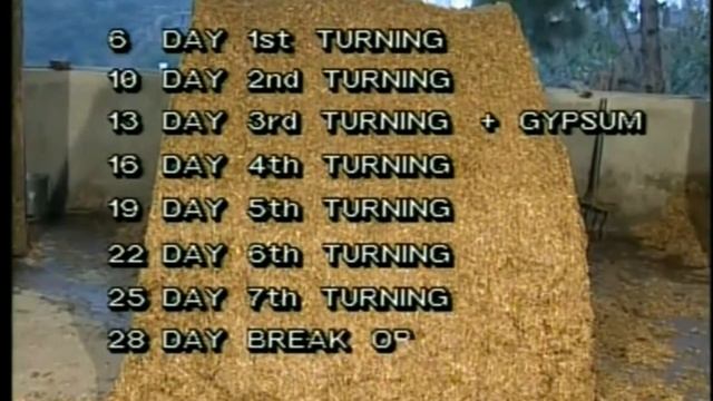 Button Mushroom Cultivation | Hindi