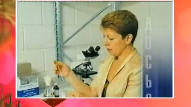 Доктор Нона. Обзор - экспресс информация о компании. смотреть онлайн