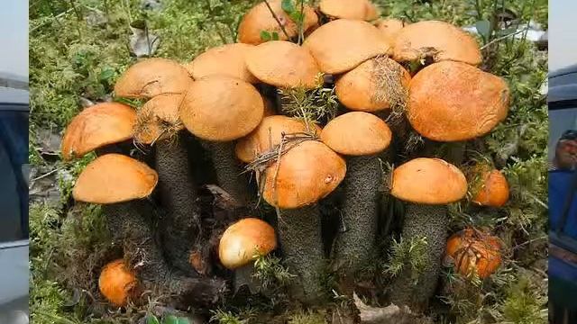 Вальс до слёз смотреть онлайн