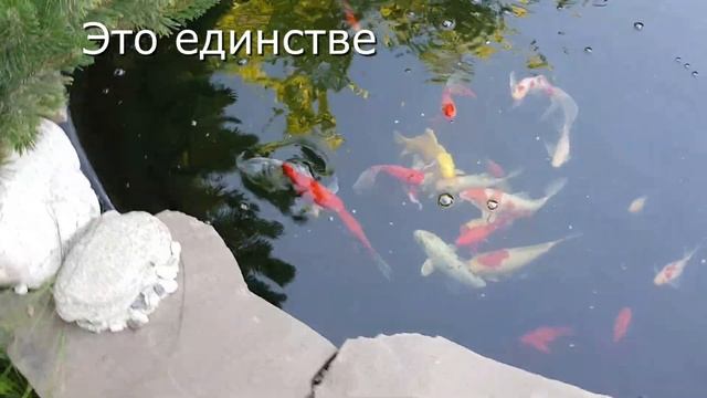 Советы начинающим самостройщикам прудов | 1 Выпуск | ПРУД ПРУДИ смотреть онлайн