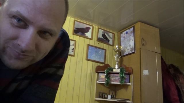 Всех Голубеводов с Новым годом! смотреть онлайн