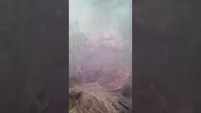 Проверка закидушак на реке сереж смотреть онлайн