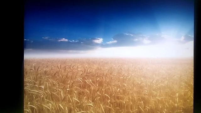про Русь смотреть онлайн