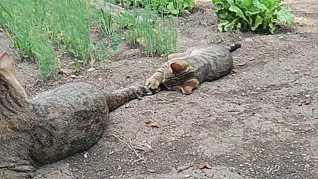 Вместе с мамой