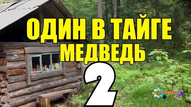 ОДИН В ТАЙГЕ | ВЕРНАЯ СОБАКА | УШЕЛ В ТАЙГУ 2 из 2 смотреть онлайн