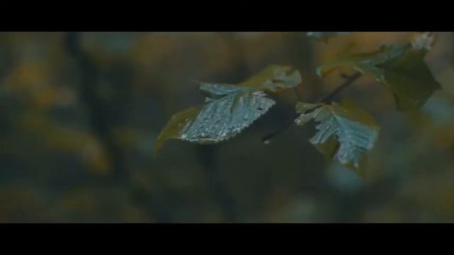 My Sweet Lord смотреть онлайн