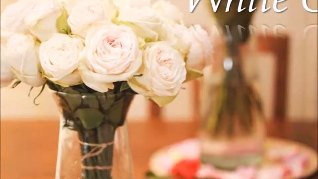 Premium Garden Rose White O'Hara from Rosas del Corazon смотреть онлайн