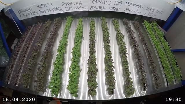 365 дней в году по всей планете на пользу людям смотреть онлайн