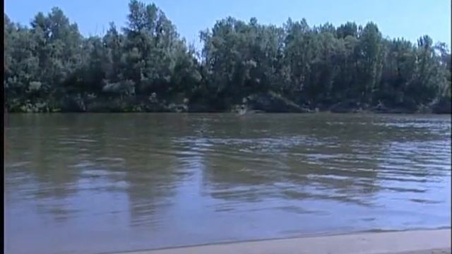 Рыбачьте с нами №4 смотреть онлайн