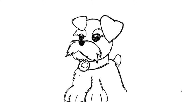 Sketches using Ipad Pro and Apple Pencil with Sketches Apps - Miniature Schnauzer смотреть онлайн