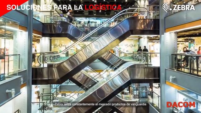 Soluciones para la LOGÍSTICA Zebra | Nuevo TC58 смотреть онлайн