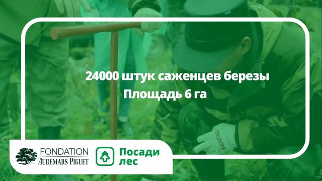 Посадка леса в Новосибирской области 13 мая 2022 года смотреть онлайн