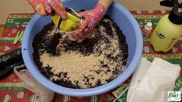 "Живая" почва для рассады. Результат всегда радует! Как приготовить почву для рассады. смотреть онлайн