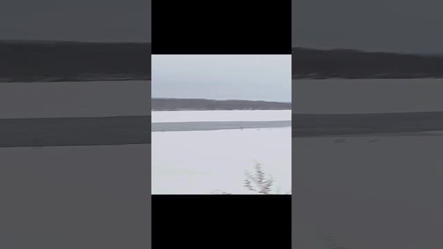 Жизнь некит