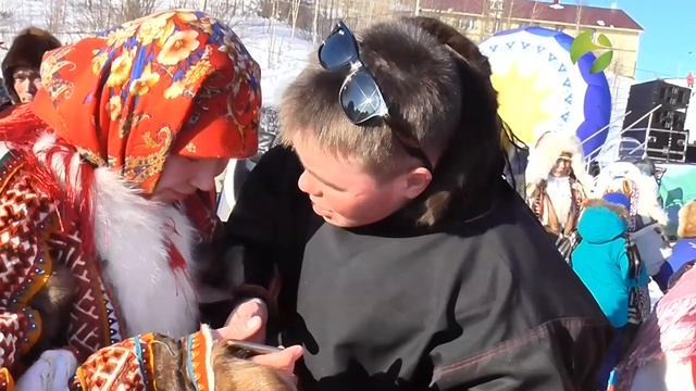 Олень в культуре ханты. "Тут султам" 15 04 21 смотреть онлайн
