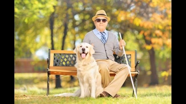 День белой трости смотреть онлайн