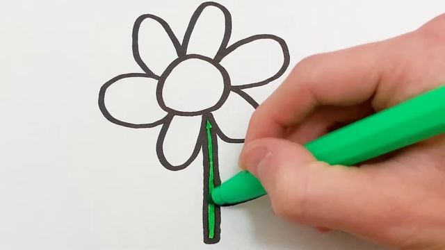 Как нарисовать Ромашку - Раскраска Ромашка для детей - Рисунки Раскраски смотреть онлайн