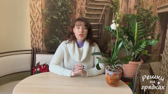 Мучнистый червец - злостный вредитель комнатных растений! Как избавиться от мучнистого червеца смотреть онлайн