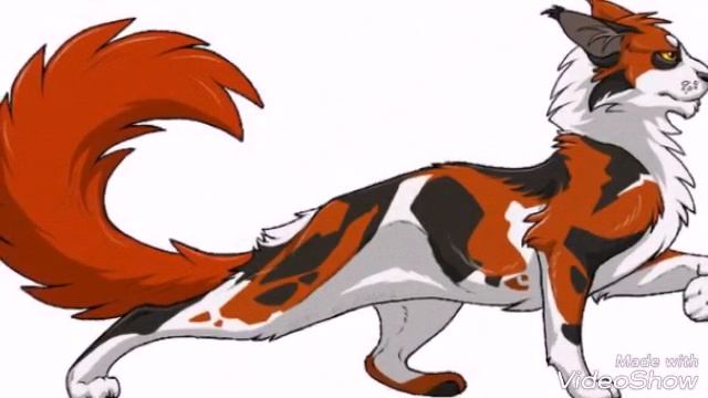 Коты-Воители картинки читать описание. смотреть онлайн