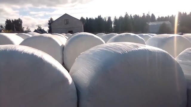 Сенокос подведение итогов смотреть онлайн