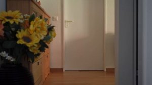 Man versus Ponies 2 (MLP in real life)