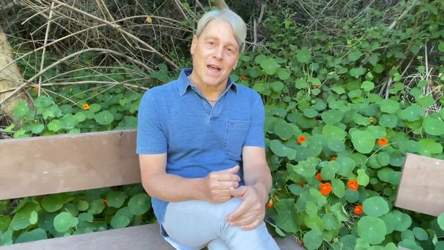 Sonnet’s Garden Sonnet 32 смотреть онлайн